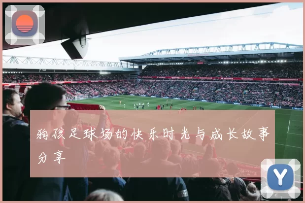 狗孩足球场的快乐时光与成长故事分享