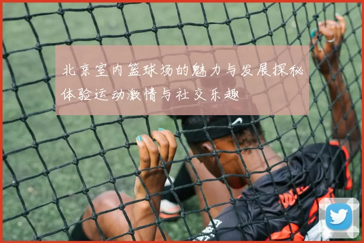 北京室内篮球场的魅力与发展探秘体验运动激情与社交乐趣
