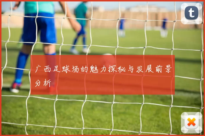 广西足球场的魅力探秘与发展前景分析